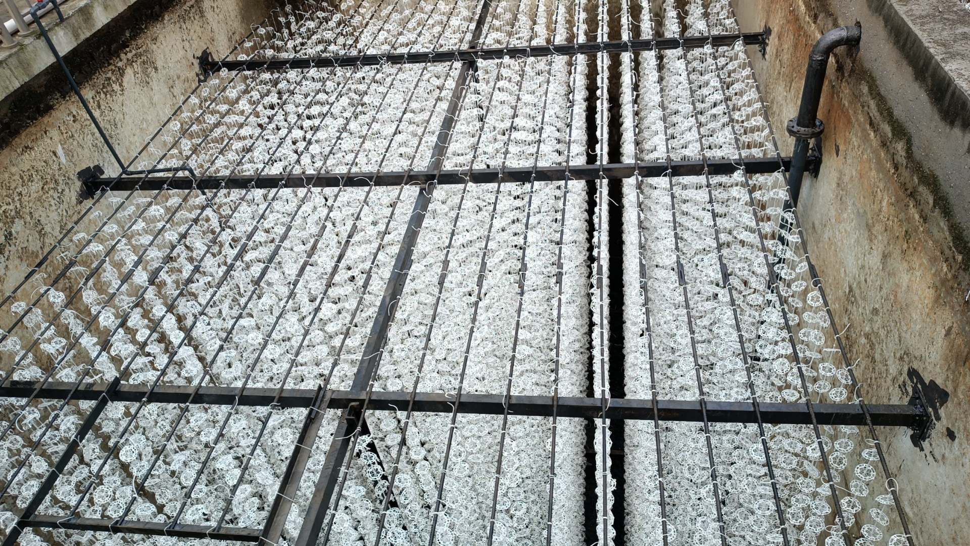 熱烈祝賀由我公司負責的成都市艾家食品有限公司生產廢水處理工程順利完工